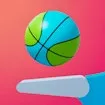 Flipper Dunk 3D